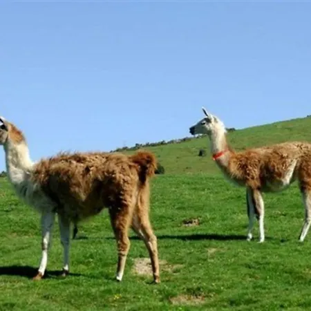 6 Personnes Avec Balcon A La Mongie, Pres Des Pistes - Fr-1-404-72 Lejlighed La Mongie